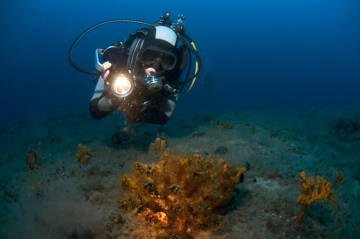 Lampes de plongée sous-marine -  - Dingue d'eau, comme vous !
